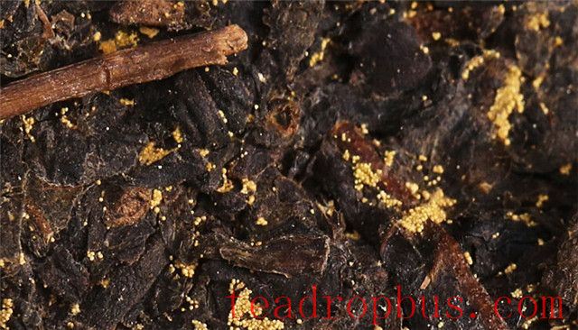 Dark Tea: Should it be Steeped or Boiled?-6