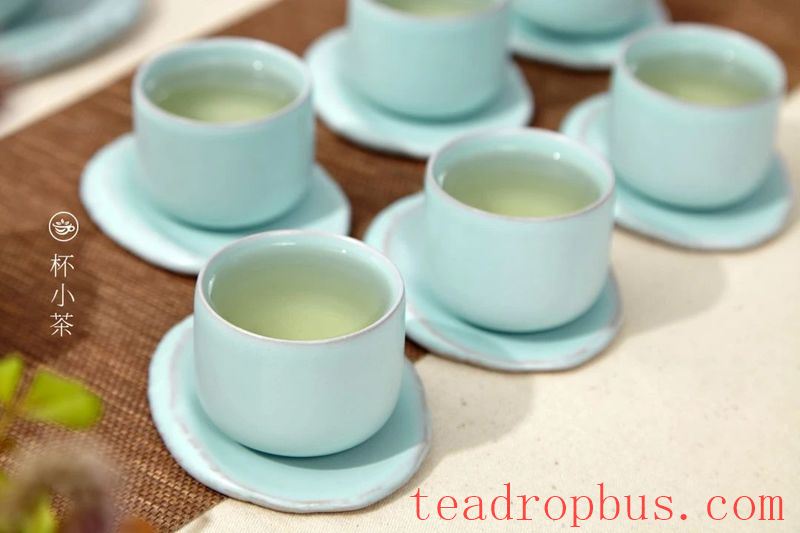 10 Different Coasters, All in One Look!-1