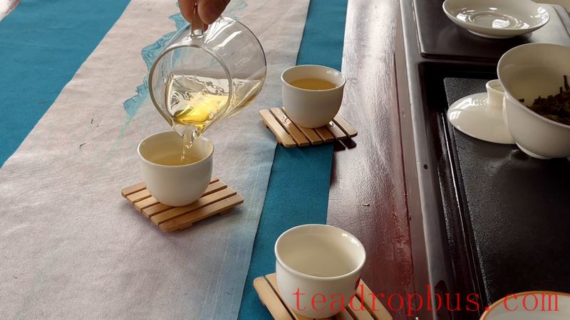 Puer Tea Brewing Techniques and Methods Explained-4