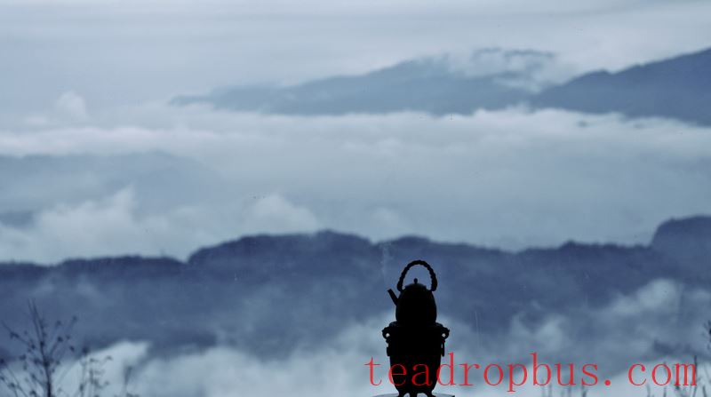 Typhoon Tea-Tasting Guide-1
