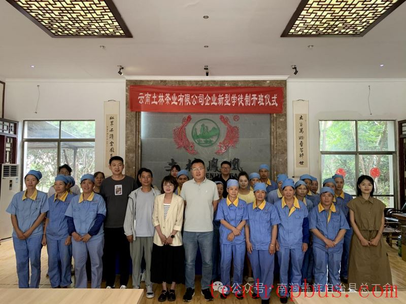 Nanjian County Implements Precision Talent-Gathering Plan to Support the Construction of a Tea Industry Workforce-3