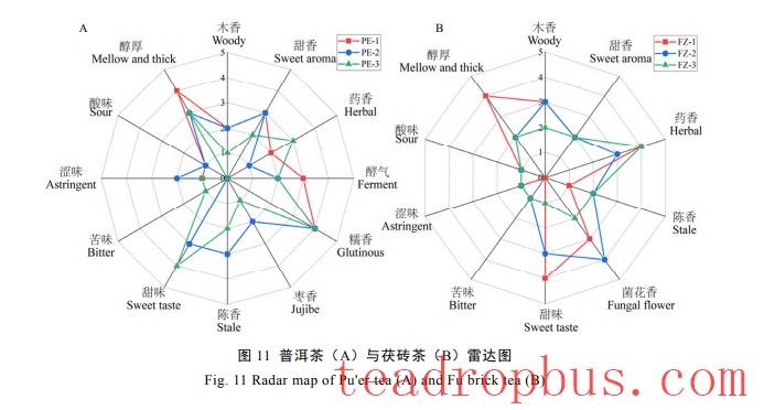 Construction and Application of the Flavor Wheel for Pu'er Tea and Fu Brick Tea-6