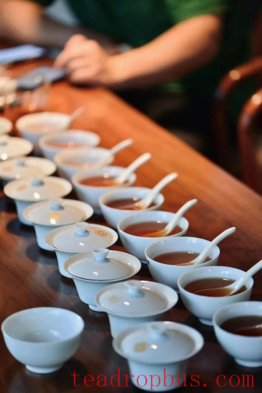 Wuyi Rock Tea, endowed with the essence of mountain and river, possesses the charm of rock and floral fragrance.-5