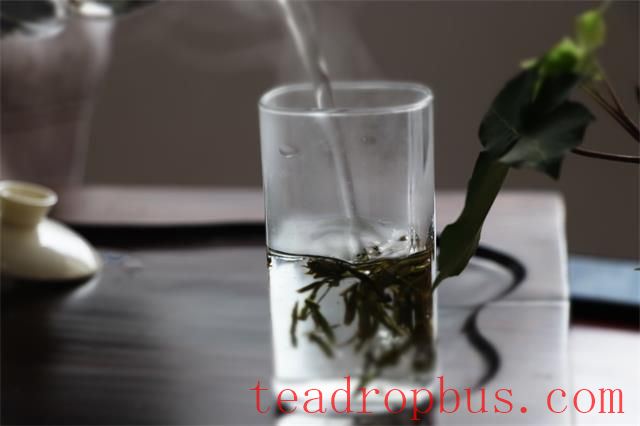 Why does the same tea taste different every time?-6