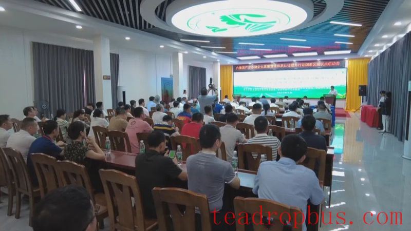 Cultivating Small and Micro Tea Enterprises to Advance the Growth of Liubao Tea Industry-1