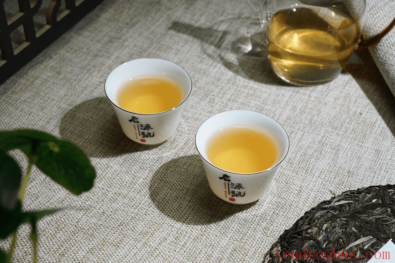 How to Properly Brew Raw Pu'er Tea? The Correct Way to Experience the Aged Aroma-3