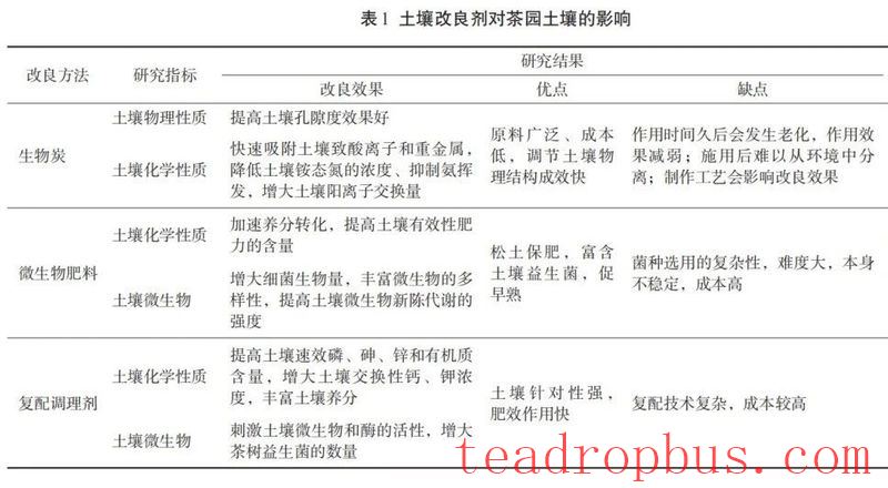 The Impact of Soil Conditioners on Tea Garden Soil Environment and Tea Plant Growth-2