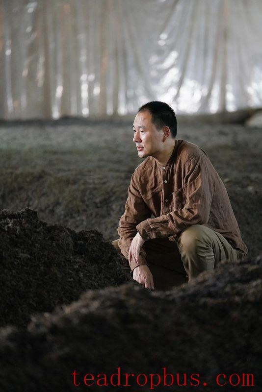The Differences Between Small Heap Fermentation, Large Heap Fermentation, and the Pu'er Evolution Theory's Ripe Tea Technology: Transcript of the 12th Pu'er Salon (Part Five)-2