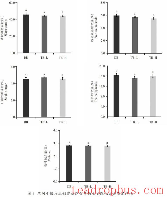 Processing Equipment: Effects of Electric and Charcoal Drying on the Quality of Fuding White Tea-4