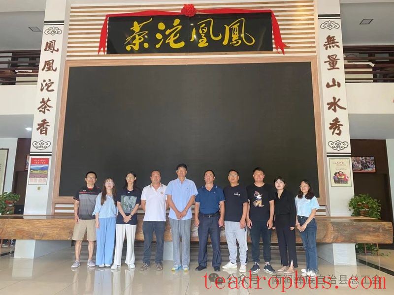Nanjian County Implements Precision Talent-Gathering Plan to Support the Construction of a Tea Industry Workforce-5