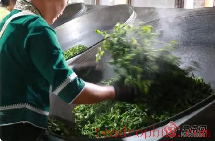 Jingmai Mountain's Faith in the 