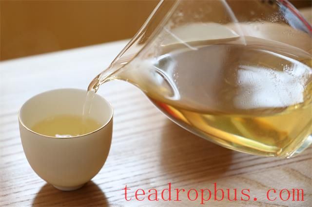 Beginner's Guide: How to Appreciate Pu'er Tea?-1