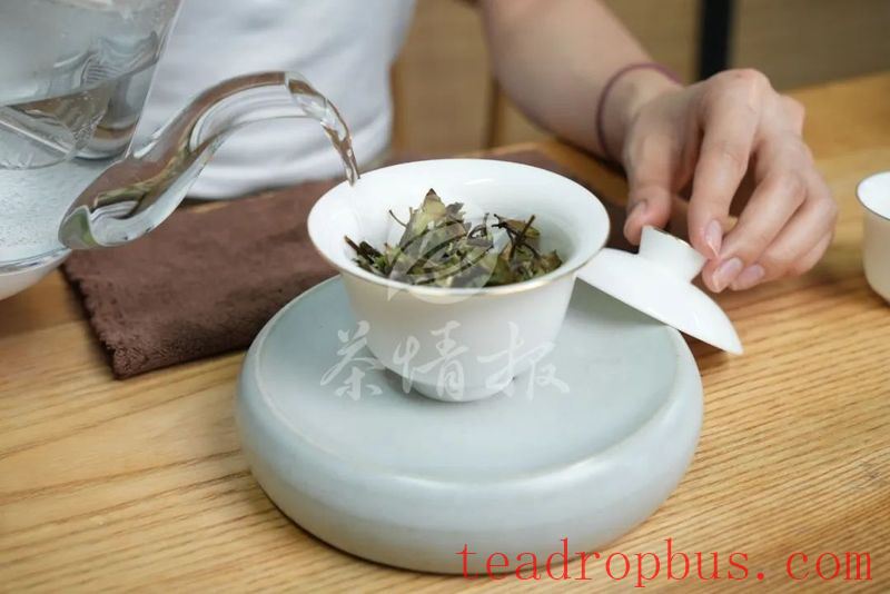 Rinsing Tea: Is it Unnecessary or Essential?-4