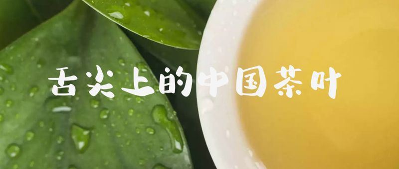 National Intangible Cultural Heritage Representative Project: Pu'er Tea Making Skills, Dayi Tea Making Skills-1