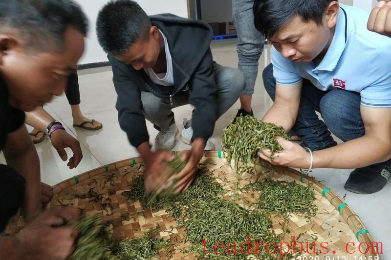 National Intangible Cultural Heritage Representative Project: Pu'er Tea Making Skills, Dayi Tea Making Skills-6