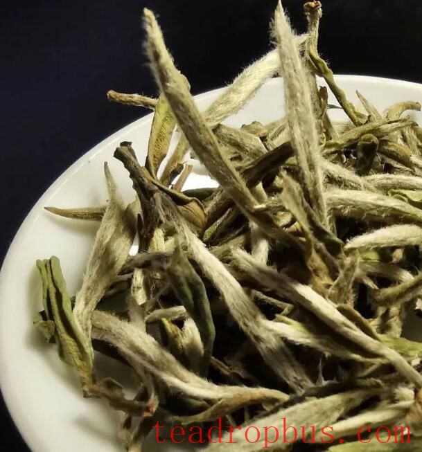 Falling in Love with White Tea Starts with Its Aroma-1