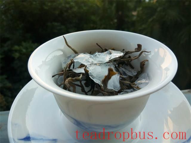 Cold Brew Tea: A Must-Try Method This Summer!-1