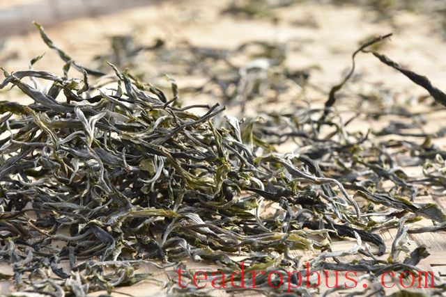 How to Properly Brew Tea? Steps for Brewing Tea-1