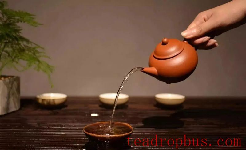 Gaiwan or Purple Clay Pot for Brewing Pu'er Tea? Here's How Experts Choose!-9