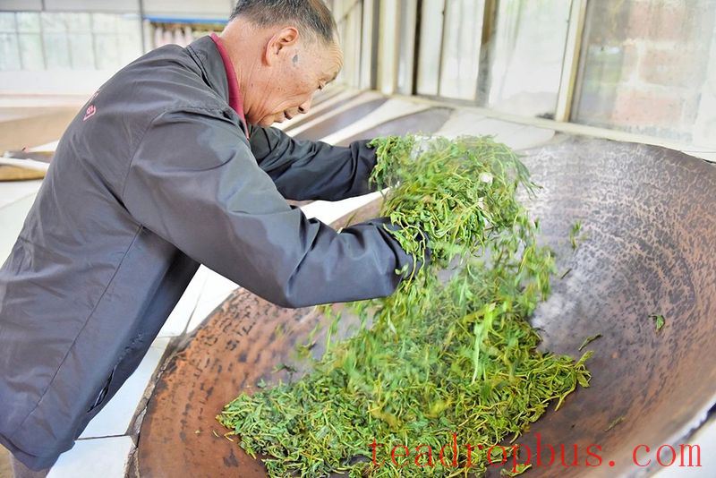 Changning's Heavenly Mountain Scenic Beauty, Pine Forests and Tea Fragrance-6