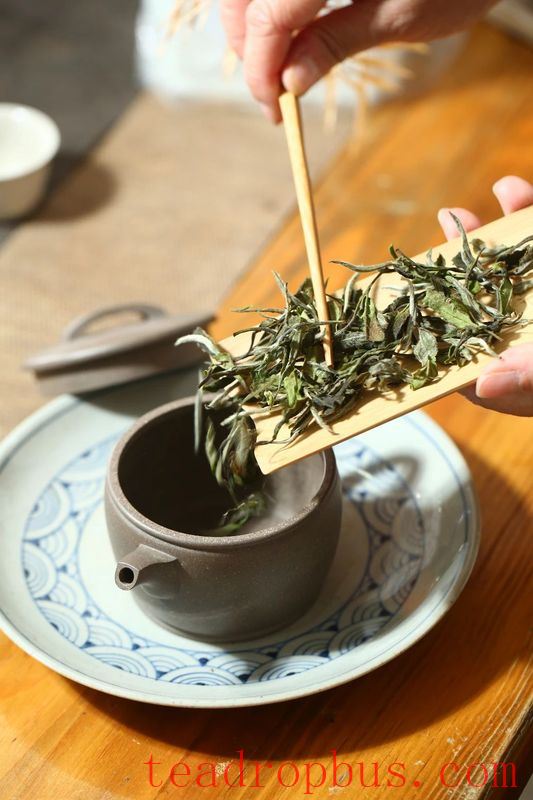What Tea to Drink in Summer? What Purple Clay Pot to Choose?-2