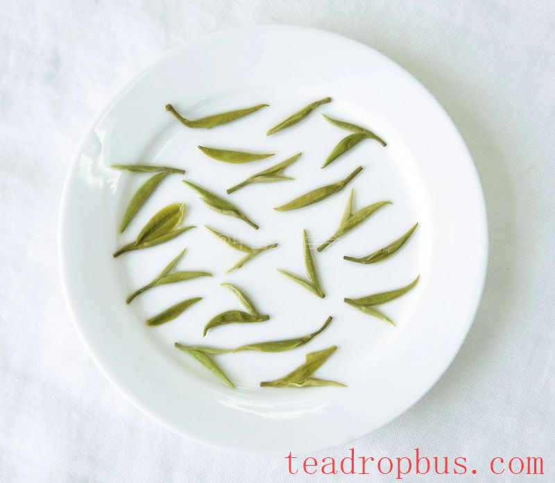 Intangible Cultural Heritage of Humanity: Traditional Chinese Tea Processing Skills - Green Tea Chapter 4: Biluochun, Xinyang Maojian, and Wuyuan Green Tea-8