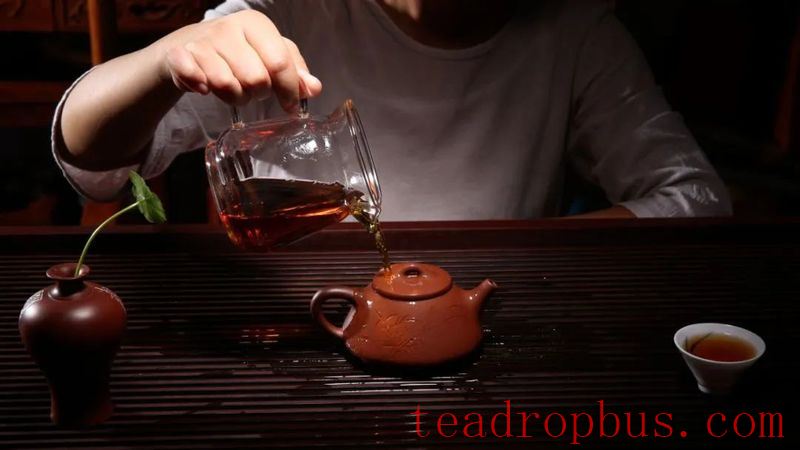 What Should You Pay Attention to When Maintaining a Purple Clay Teapot in Winter?-2