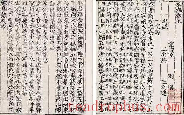The Evolution of Chinese Tea Utensils-7