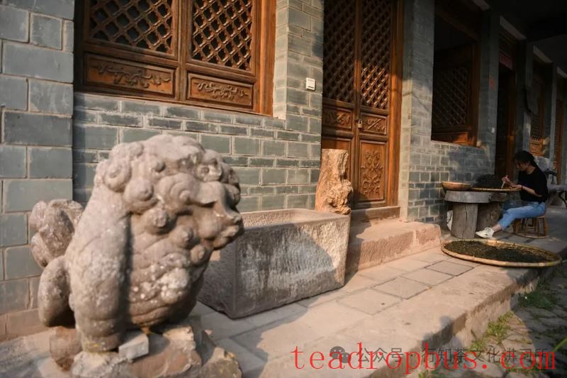 How Was the Administration of the Six Great Tea Mountains During the Qing Dynasty?-2