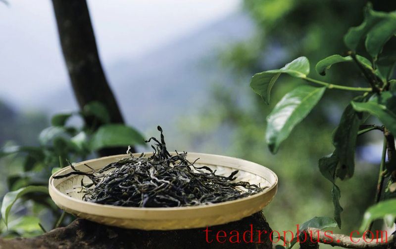 Puer Tea Needs to Be Tasted Slowly-1
