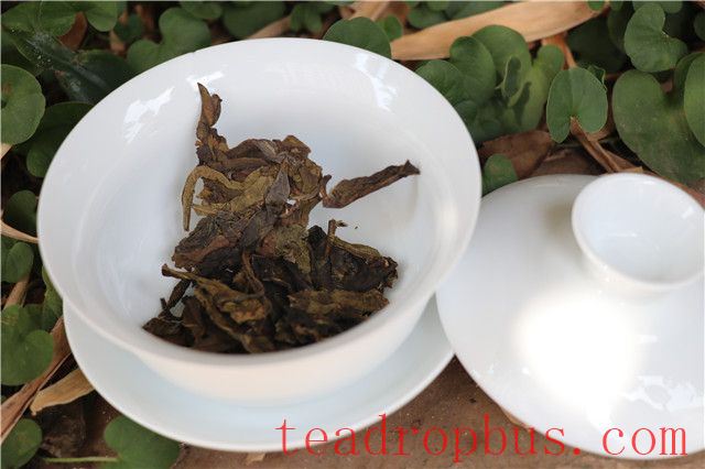 Why does my throat feel dry after drinking tea?-2