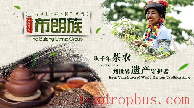 Bulang People: From Millennium Tea Farmers to Guardians of World Heritage-2