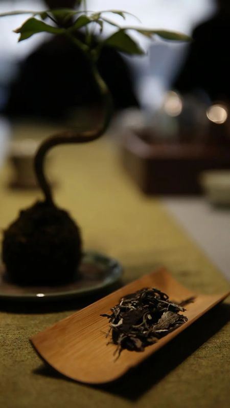 Brew a Pot of Tea, and Send Rain to the Thirsty Fields of Your Heart-3