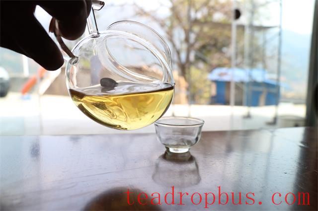 Tea May Look Alike, But Its Taste Need Not Be The Same-2