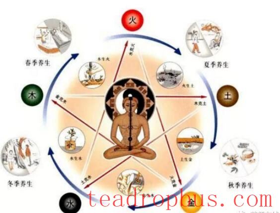 Spring: From the Perspectives of the Five Elements and Health Preservation, Here's How to Drink Tea-2