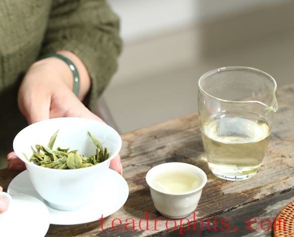 The Tea Pact of the Dog Days: A Guide to Drinking Tea Properly!-1