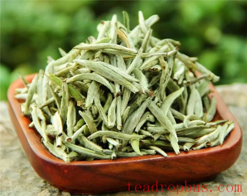 Unlocking the Perfect Brewing Method for White Peony Silver Needle Tea-1