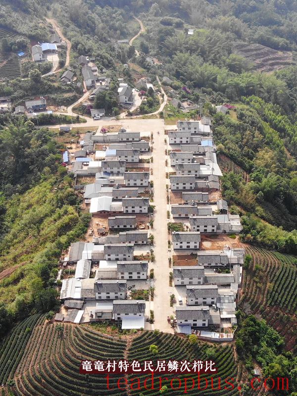 Tasting the Lingering Tea Aroma in Longlong Village, Yixiang Town, Simao District-6