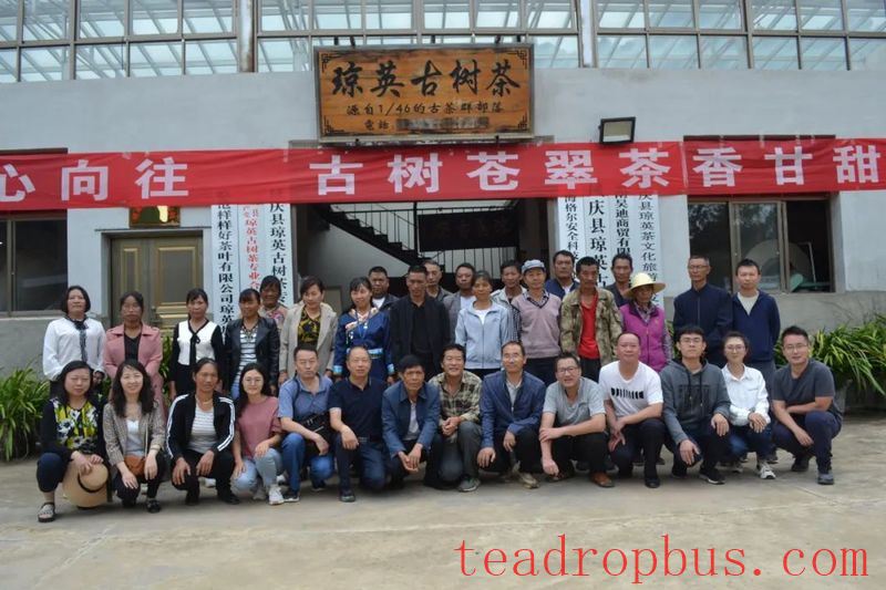 Guodazhai Township's Qiongying Village Hosts Training Session on Ancient Tea Tree Pest and Disease Control-1