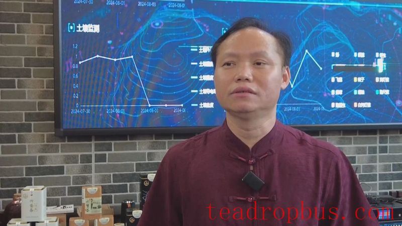 Wuzhou: Quality Brands Empower the Upgraded Development of Liubao Tea Industry Chain-6