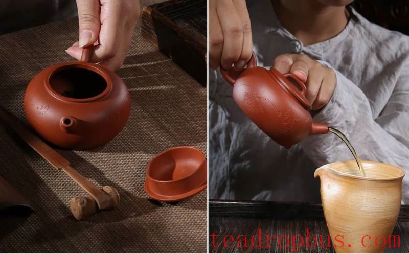 Nourishing a Teapot: How Long Does It Take to See Results?-1