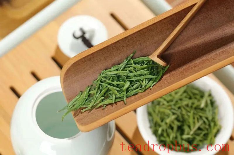 Wuyuan Green Tea Production Skills-1