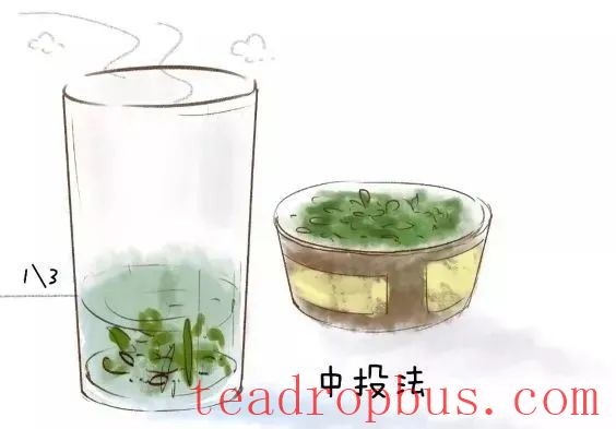 To Bring Out the True Flavor of Green Tea, These Details Are Essential!-3