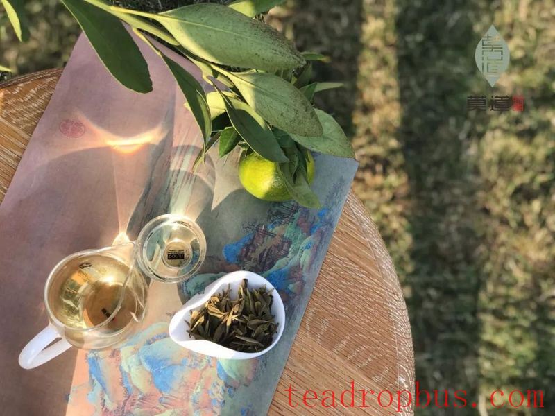 Cooling off the Heat, Never Without a Cup of White Tea-3