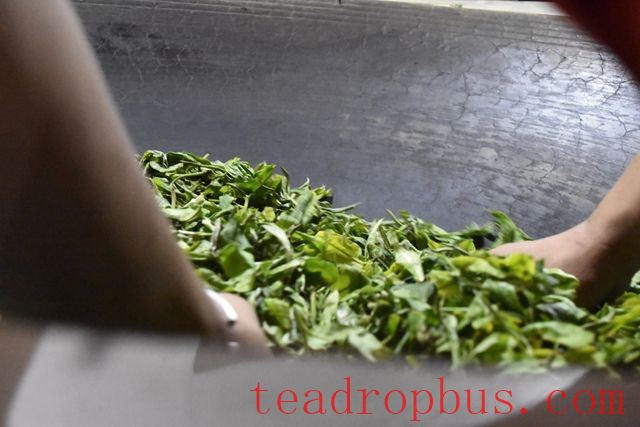 Puer Tea Common Methods of Fixation-1