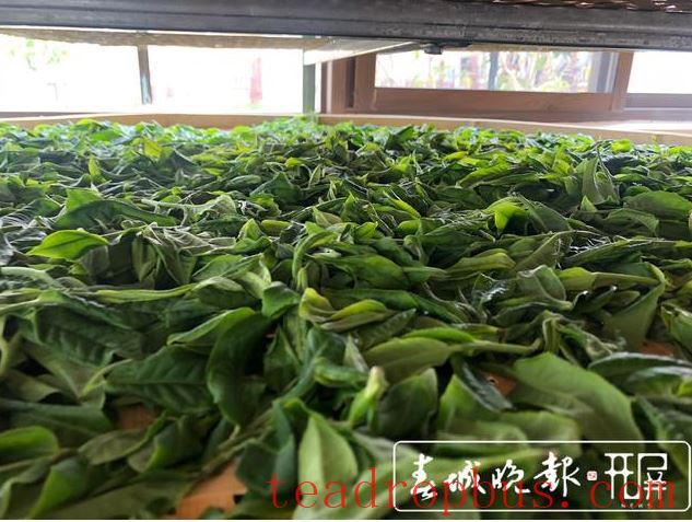 World Tea Day: Yunnan Offers You a Cup of Tea!-6