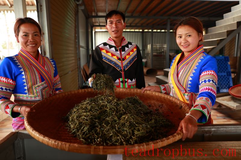 Here, people are born on the tea mountains and grow up in the aroma of tea.-2