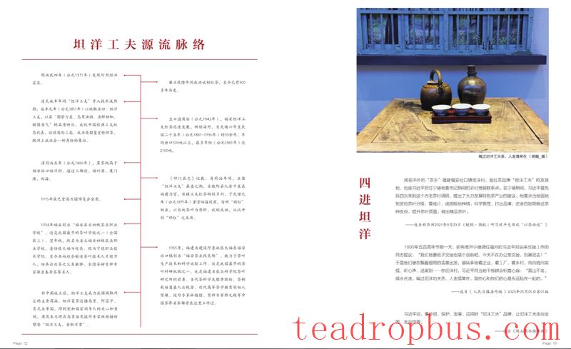 Ties with TanYang: The Legend of a Tea and a Village-2