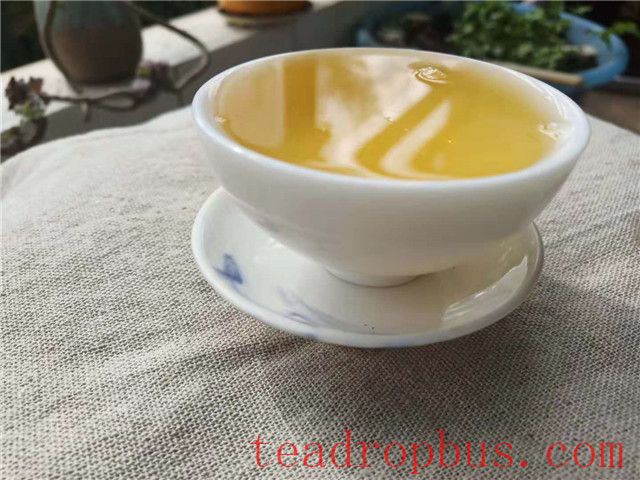 The Journey of White Tea's Essence: Savoring the Unique Charm of Each Infusion-4