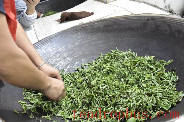 Which Teas Require the Process of Fixation?-3